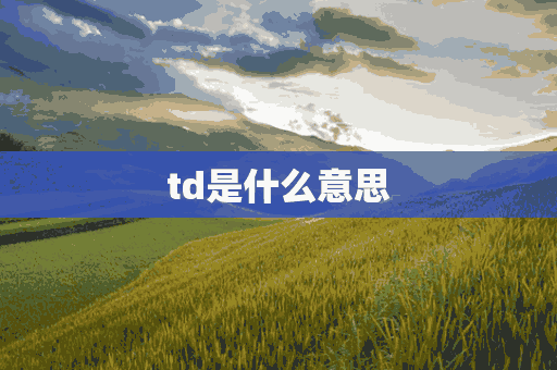 td是什么意思(TD是什么意思网络用语)